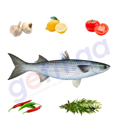 Fresh Fish - BIYHA - بياح - LONGFIN MULLET  1KG