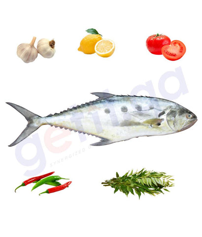 Fresh Fish - DHAL'A - ضلعه - TALANG QUEENFISH WHOLE FISH
