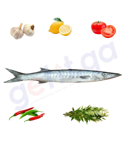 Fresh Fish - GIDD - جد - YELLOW TAIL BARRACUDA(small) 1kg