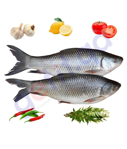 Fresh Fish - Labeo Rohita - Rohu