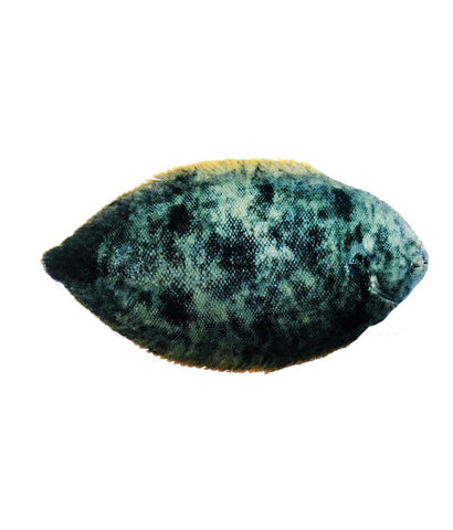 Fresh Fish - LISAN - لسان - ORIENTAL SOLE