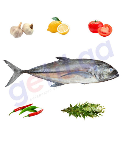 Fresh Fish - Malabar Travally (VATTA) - Big(5kg Above Only)