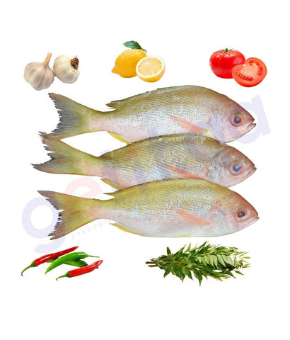Fresh Fish - NAIMEE - نعيمية - PINJALO