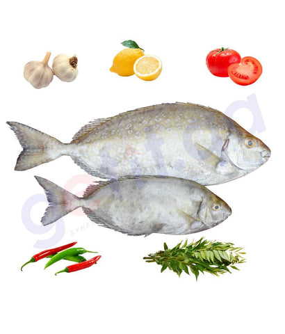 Fresh Fish - SAFI - صافى -(DOHA)  WHITE-SPOTTED SPINE FOOT 1KG