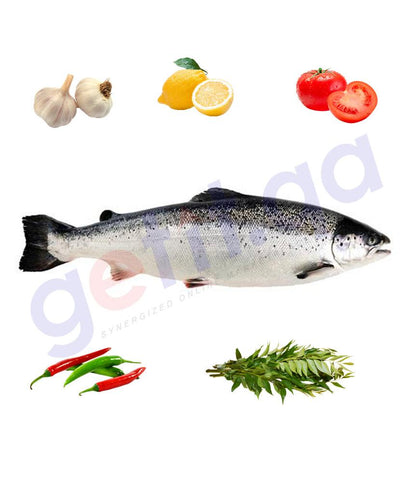 Buy Fresh Salmon Fish Big Norway Price Online in Doha Qatar