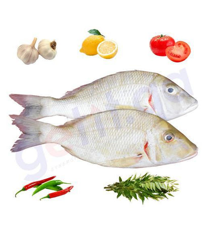 Fresh Fish - SHEIRII  -RED SPOT (Medium)