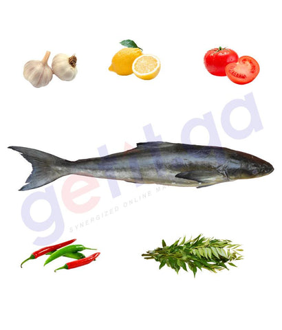 Fresh Fish - SIKEN (MODHA)- سكن - COBIA - (Small/Medium)