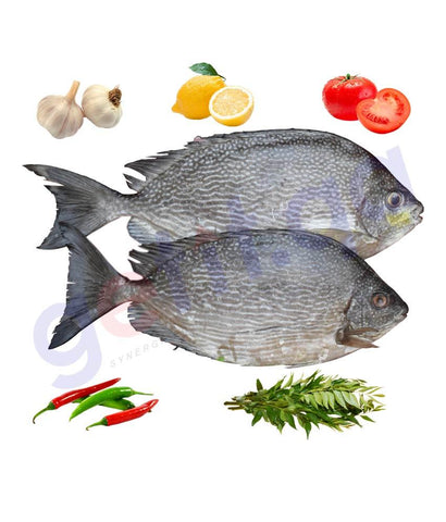 Fresh Fish - SUNAIFI - صنيفى - DUSKY SPINEFOOT 1KG