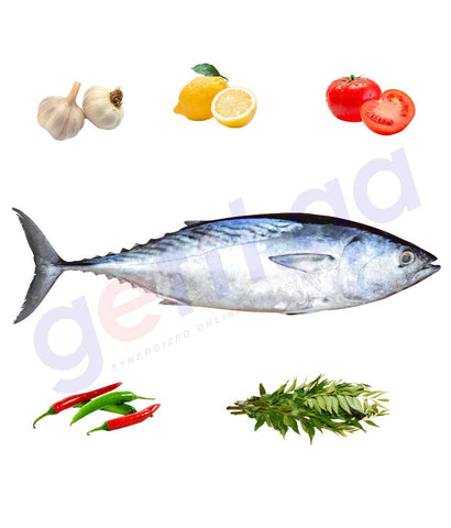 Fresh Fish - TABBAN - تبان -  TUNA - SMALL
