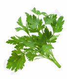 Vegetables - Cilantro -Coriander Leaves 1 Bunch Approx 100gm